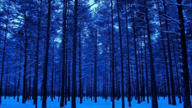 Winter Instrumental Music – Snowflake Woods смотреть онлайн