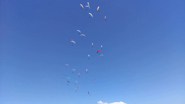 World Cup Clopotiva 2022 Task 2 Window Open (Part 2) смотреть онлайн