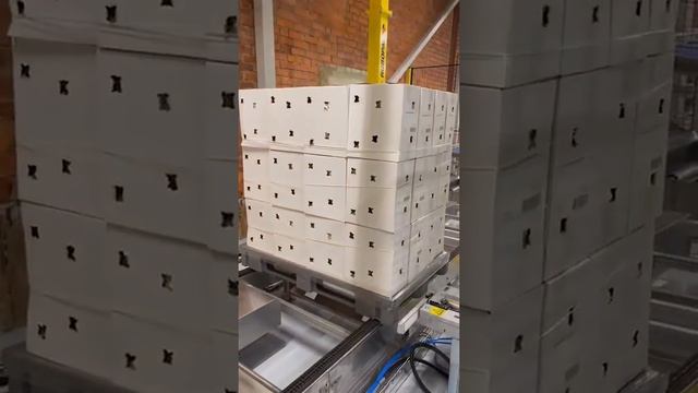 Упаковка паллеты со жгутированием стретч-плёнкой | Автоматический паллетоупаковщик ROBOPAC HELIX EV смотреть онлайн