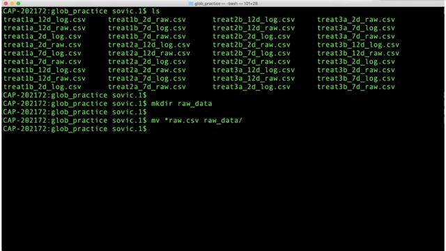 Globbing At Command Line смотреть онлайн