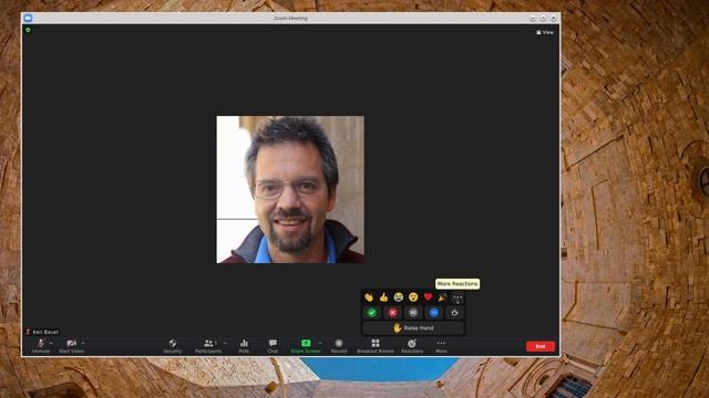TechEduTips - Zoom client Reactions Update смотреть онлайн