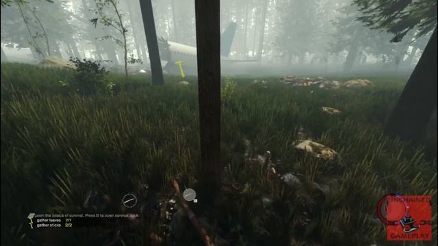 The Forest Gameplay HD смотреть онлайн