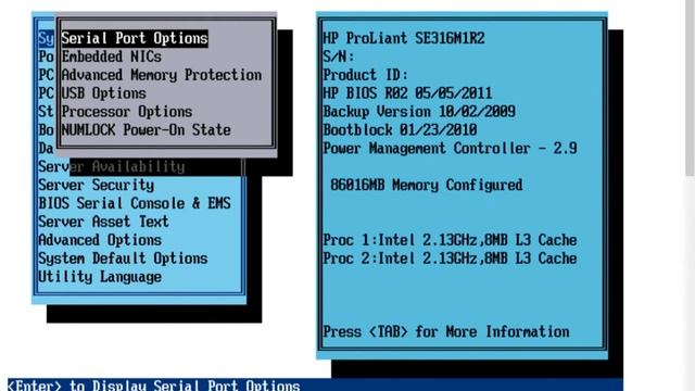 HP Proliant SE316M1 boot test - HP iLO2 Remote Console смотреть онлайн