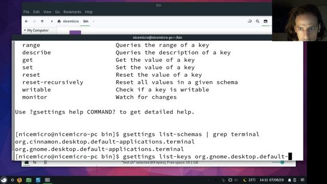 A workaround to set the default terminal emulator to anything in Budgie DE смотреть онлайн