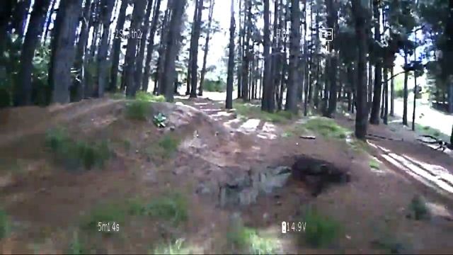 Analog vs prosight Pine forest смотреть онлайн