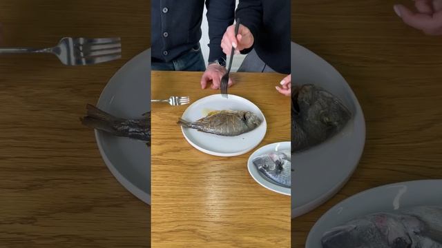 Дорада средиземноморская смотреть онлайн