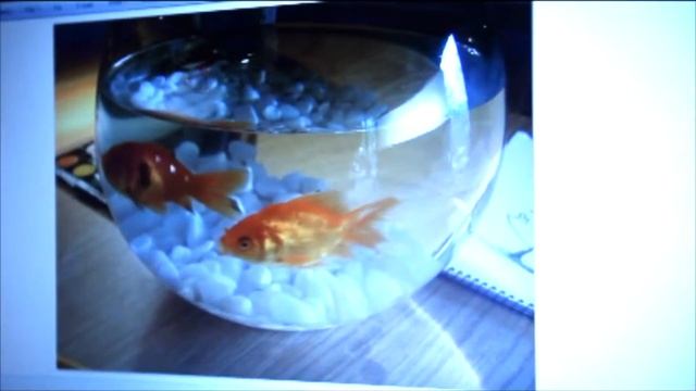 Windows 7 ve Zeynep | Microsoft Reklam Filmi (2009) смотреть онлайн