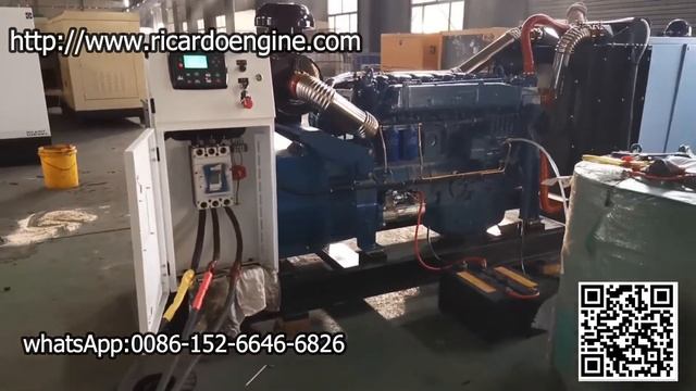 Original Ricardo 200kw 250kva Diesel Generator With Smartgen HGM6120 Controller And ATS