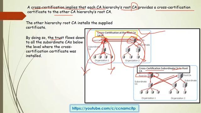What Is a Cross-Certification Hierarchy смотреть онлайн