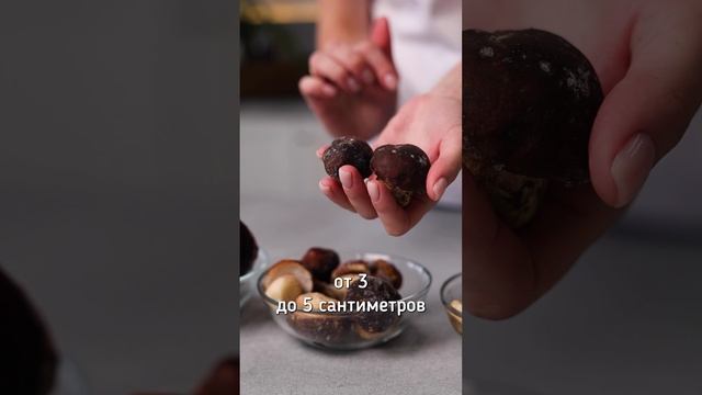 thumb-Грибы белые Карелия ~300г-10}