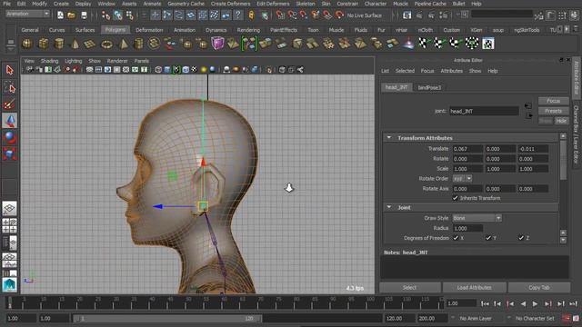 Autodesk Forums: greekgooner Feedback смотреть онлайн