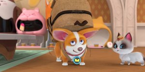 Корги по имени Моко. Домашние животные 2, 52 серия. Милота