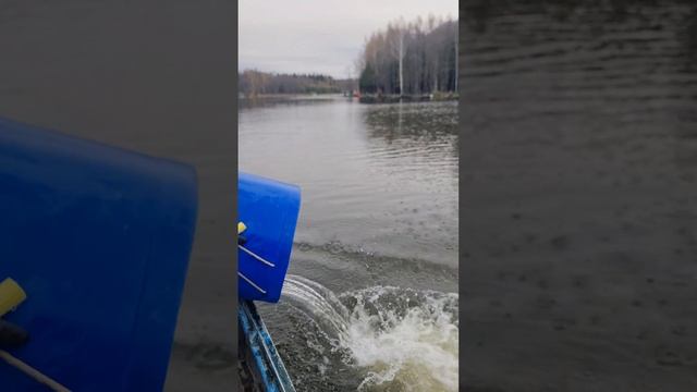 Запуск форели смотреть онлайн