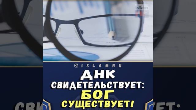ДНК свидетельствует_ Бог существует!