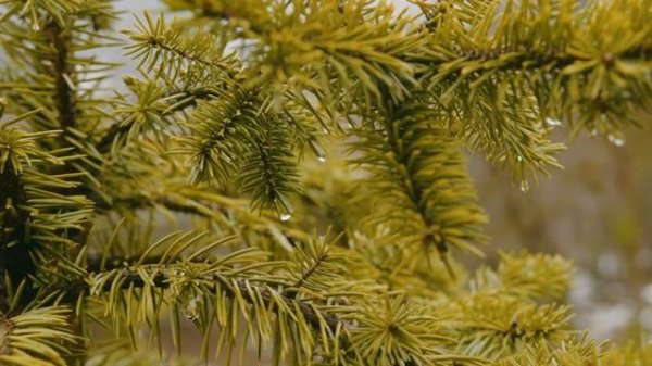 1xbet Сочи backstage