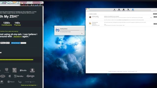 Gopher Kit #11 - Oh my zsh смотреть онлайн