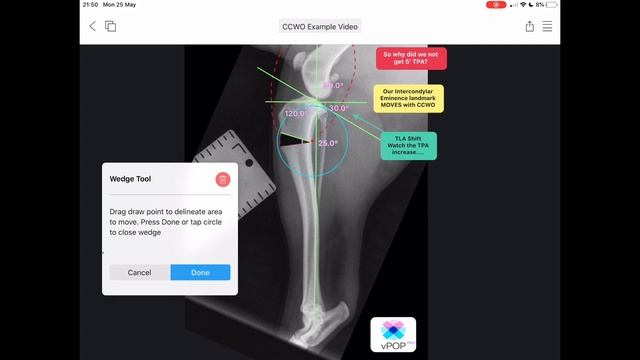 How to plan a CCWO Cranial Closing Wedge Ostectomy in vPOP Pro! смотреть онлайн