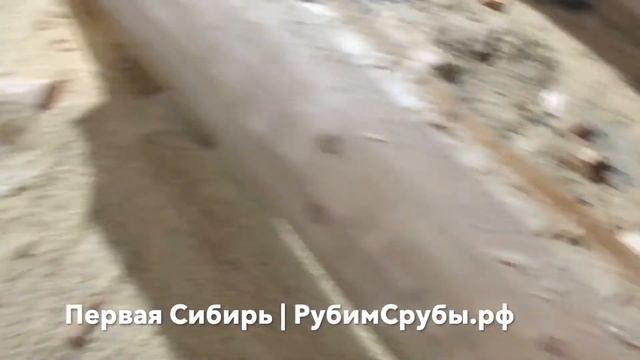 Рубка сруба из бревна кедра смотреть онлайн