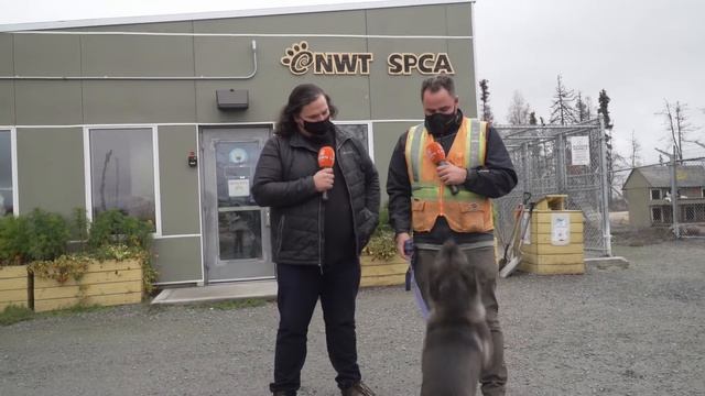 Pet Project 🐾 Season 4 | Episode 11 - Buck смотреть онлайн