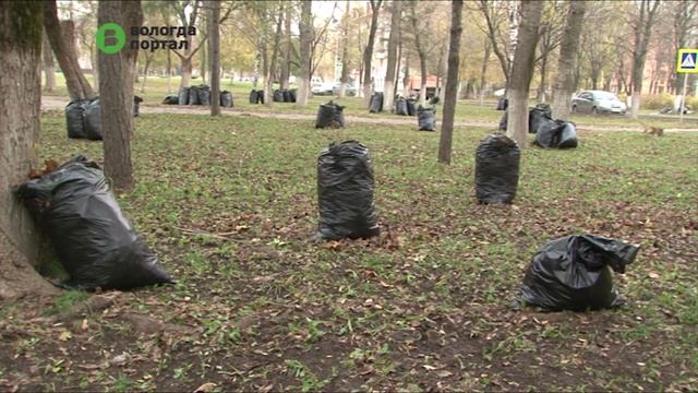 Более 160 тонн мусора вывезено с улиц города с начала месячника по благоустройству смотреть онлайн