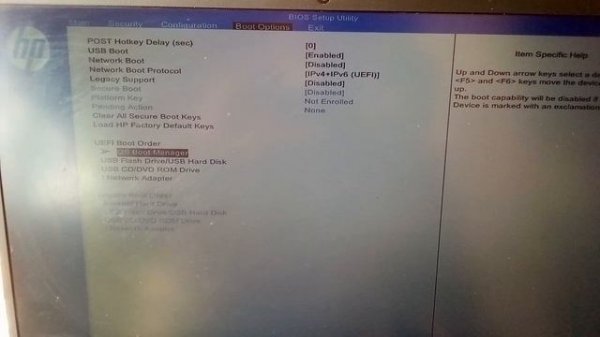 How to Enter BIOS Setup on HP Computers (HP BIOS Setup)