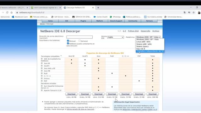 Instalar NetBeans смотреть онлайн