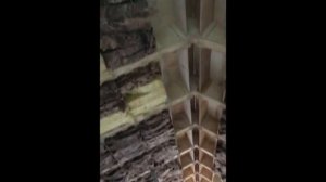Дом из фанеры по технологии WikiHouse. Дом на 55 м2.