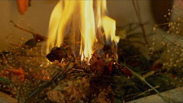 [dream] смотреть онлайн