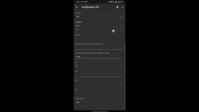 cara setting vmess di v2rayng смотреть онлайн