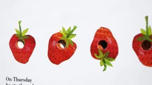 The Very Hungry Caterpillar by  Eric Carle