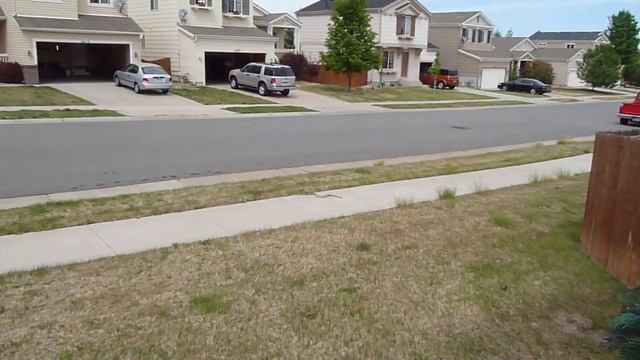 How to get a Bull Snake out of your window well смотреть онлайн