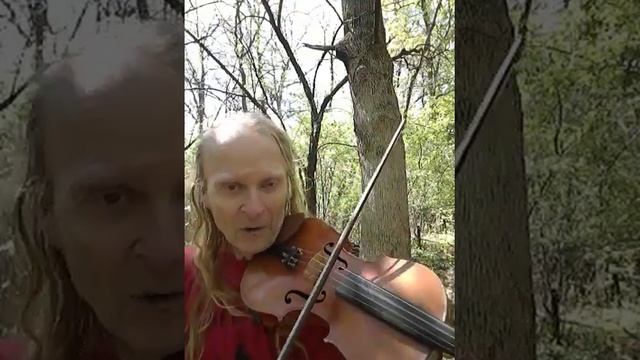 29th of May Variations, Gary Schulte, violin. Performance for 2020 Midwest Morris Ale смотреть онлайн