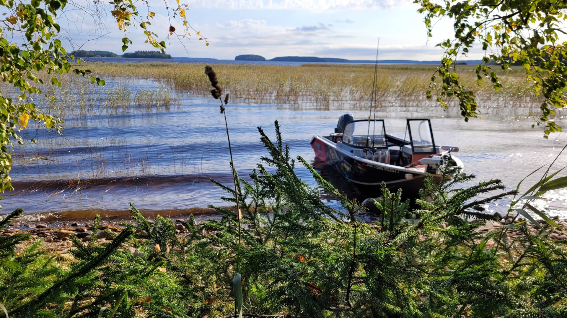 (часть 1) Рыбалка в Карелии, Ладожское озеро, залив Уксунлахти 2024 - Ловля щуки на Ладоге