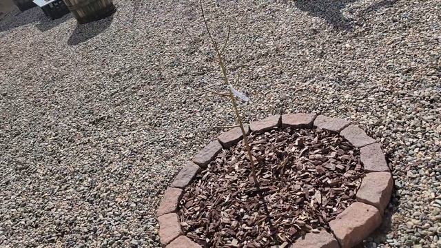 yard 2 смотреть онлайн