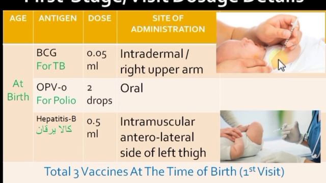 Vaccinator Preparation | Introduction Of EPI смотреть онлайн