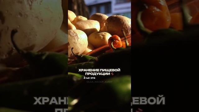 ТОП-5 ПРАВИЛ, которые нужно соблюдать на кухне ресторана#рестораны #санпин #хассп смотреть онлайн