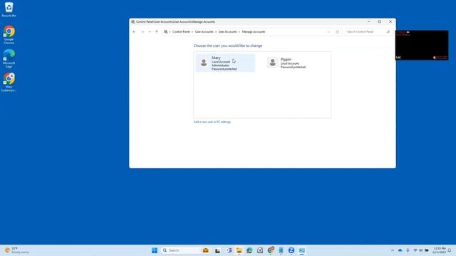 Windows 11 Operating System - User Access смотреть онлайн