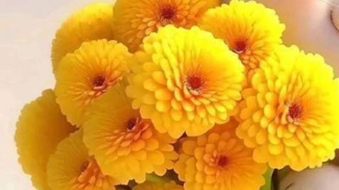Добрый День - Пожелания доброго дня #Красивыепожелания #добромдень #доброгодня смотреть онлайн