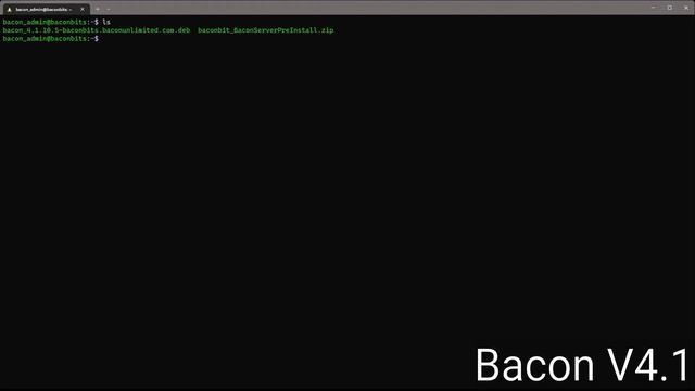 Install Bacon 4.1 on Ubuntu смотреть онлайн