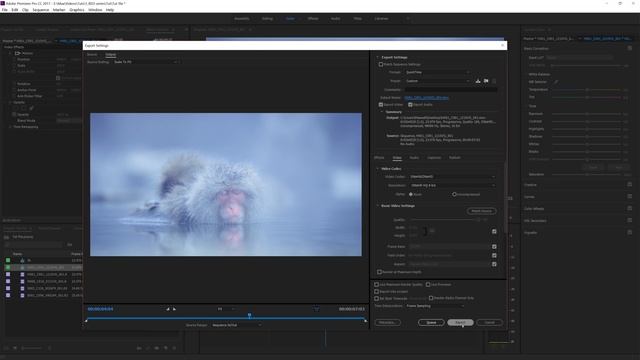 Exporting 8k videos in Premiere Pro for Windows (Mac works too) - 2 minute tutorial смотреть онлайн