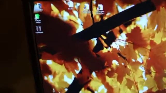 My Dell XPS Gen 5 Running Vista DreamScene смотреть онлайн