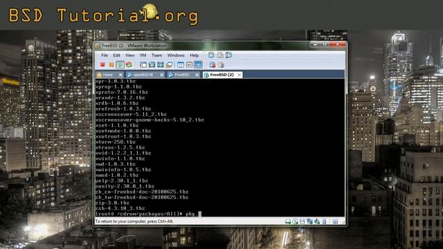 FreeBSD - install programs (dvd) смотреть онлайн