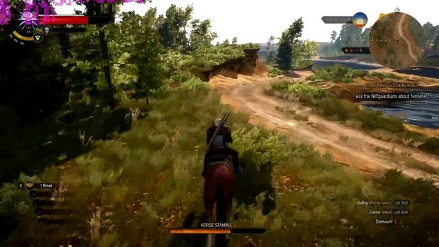 The Witcher 3: Wild Hunt | i5 6600k | GTX 970 | DDR4 16GB | 1080p@60 All Graphics Options смотреть онлайн
