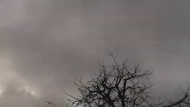 The SKY | NWTV | speed x14 | смотреть онлайн