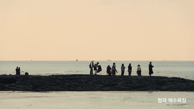 NIKON Z50 / 제주도 4k 영상 / Jeju Island 4k video смотреть онлайн