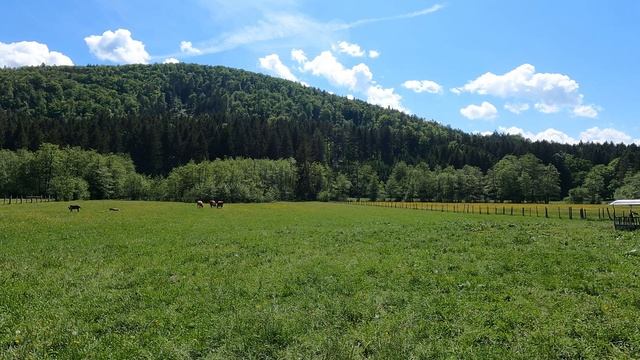4K Better than XP Bliss? Relax Beautiful Day Ambience | Spring смотреть онлайн
