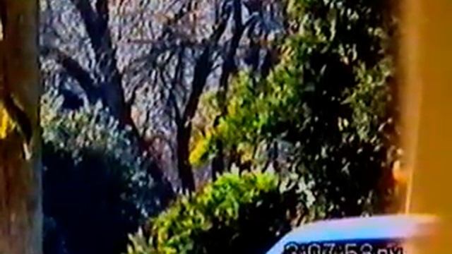kingufokid ALIEN or demons very small LOOK in window of car below time date on camera смотреть онлайн