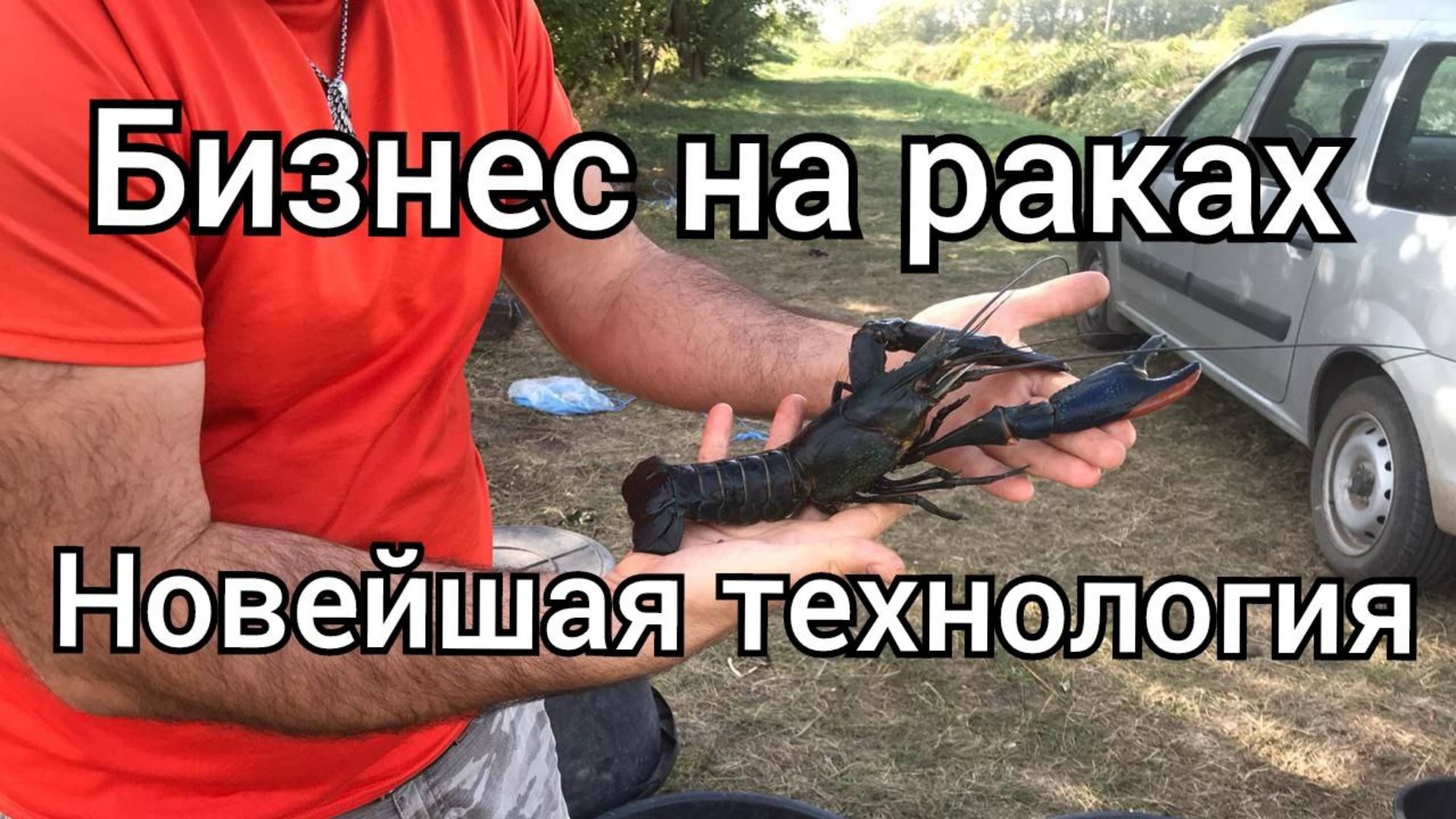 Бизнес на австралийских раках. Новейшая уникальная технология разведения австралийских раков. смотреть онлайн