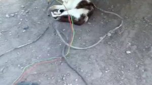 Делаем поворотник на прицепе  😏😏😏😏😏😏