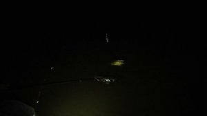 Как ловить ночью на фидер? Без этих гаджетов не выезжаю на ночную рыбалку!